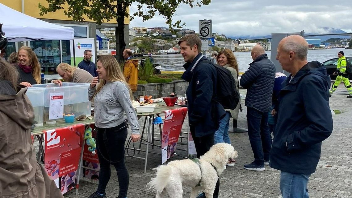 Folk besøker Forskertorg på kaia 